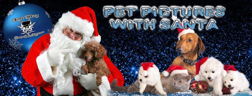Christmas photos of your pet